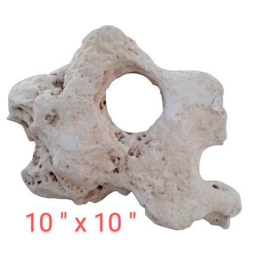 A 10 inch Texas Holey Rock on display