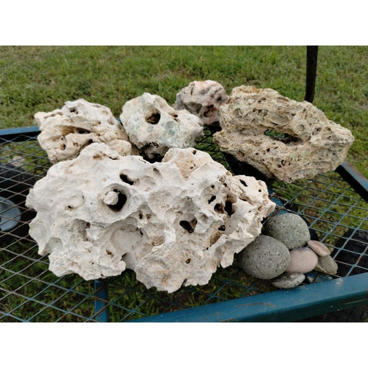Texas Holey Rock bundled with Desert Coral for Aquariums on display
