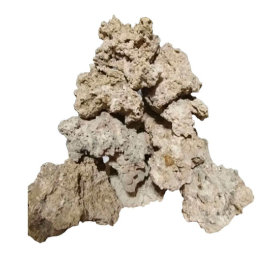 Dry Live Rock for Aquariums on display