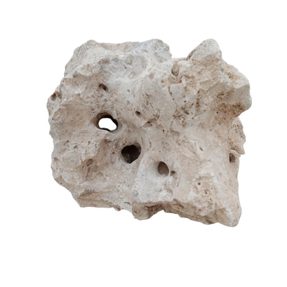 A white Texas Holey Rock that is included in a 60 pound bundle