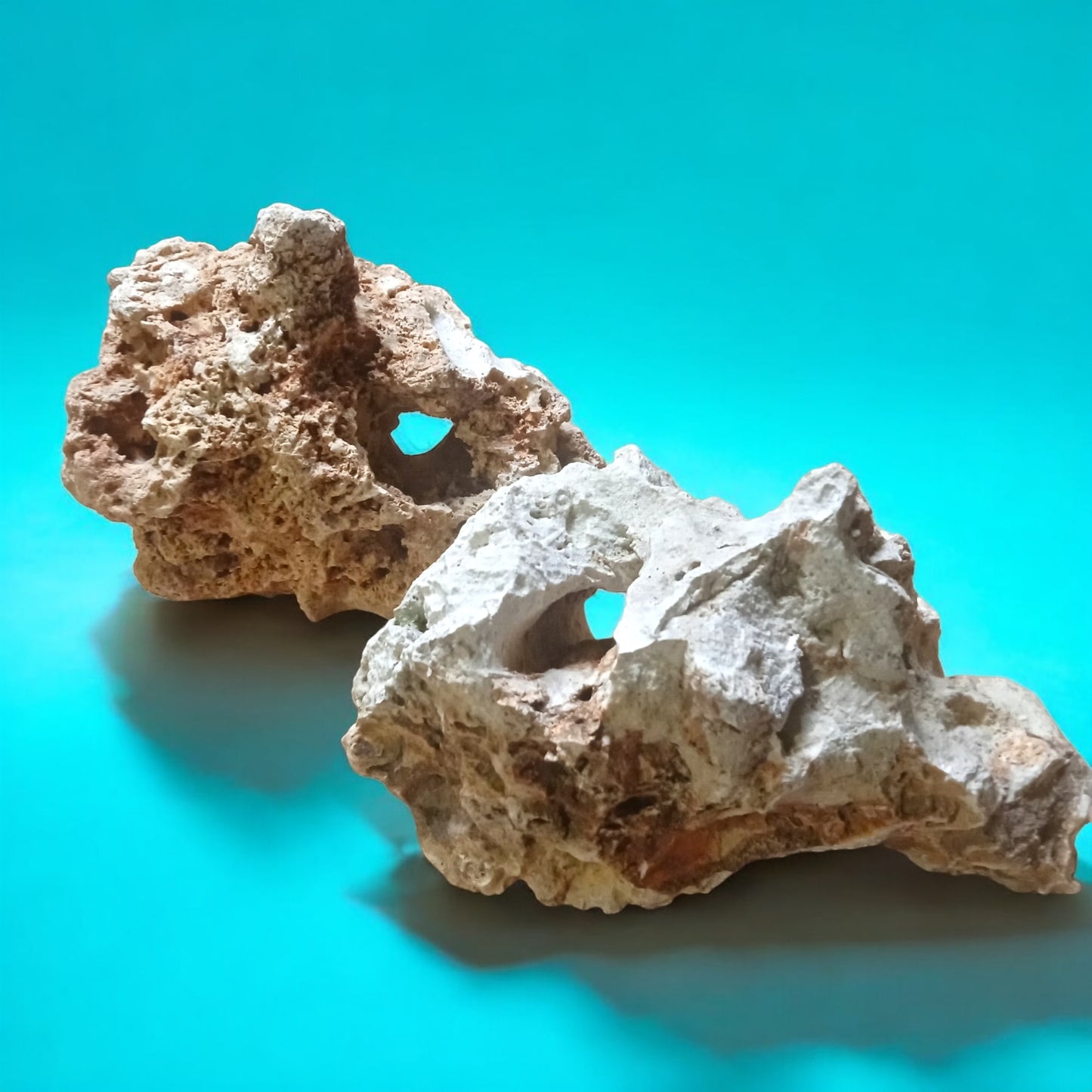 Two small size accent rocks for Aquarium Decorating on display