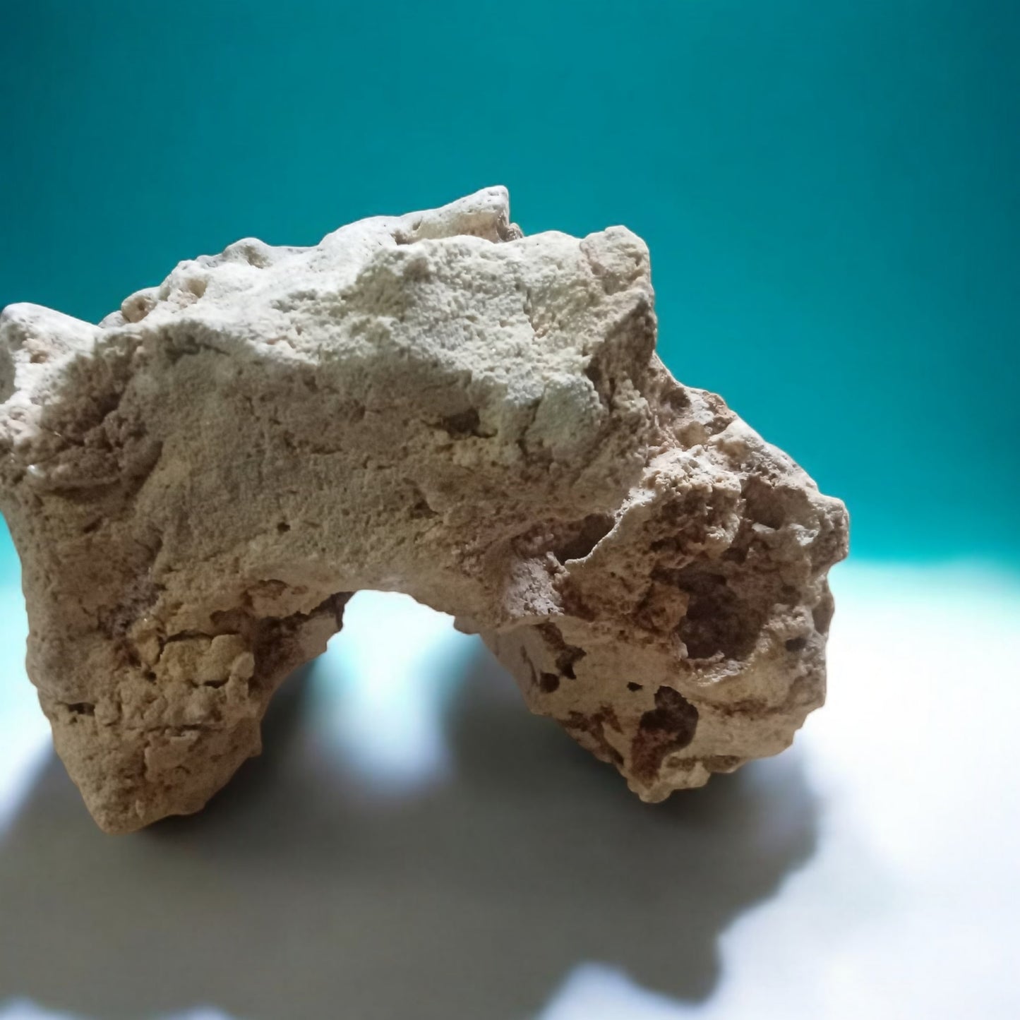 An Arch shaped rock to decorate Aquariums with, on display