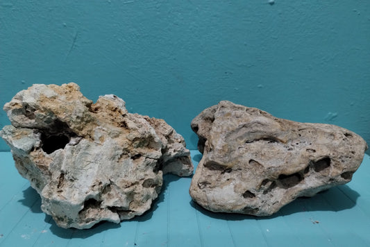 Two large Cave Rocks for a home Aquarium on display