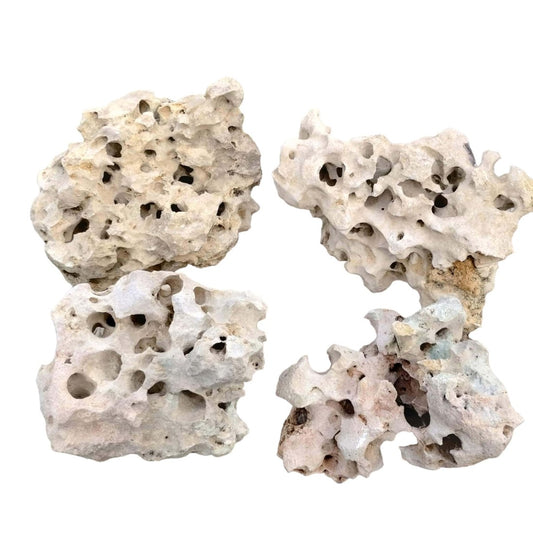 Product photo of Texas Holey Rock by the pound