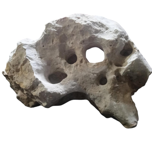 A 13" Limestone Rock for a Fish Aquarium on display