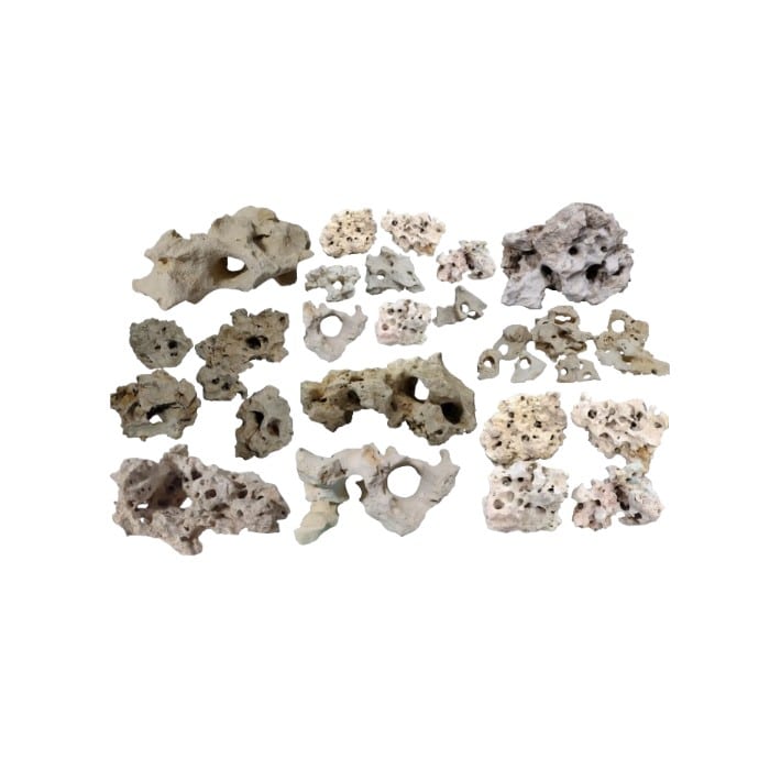 Sale Banner Image displaying Texas Holey Rocks 