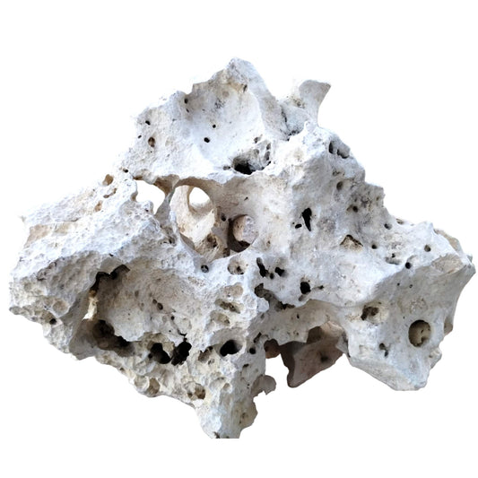 A large white Texas Holey Rock