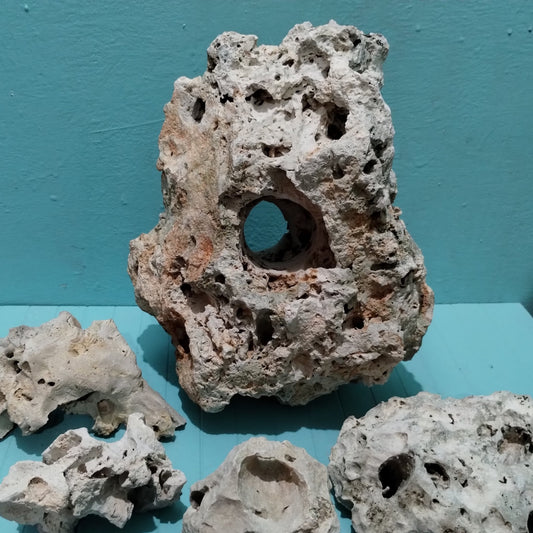 20 pound Texas Holey Rock kit for an Aquarium on display