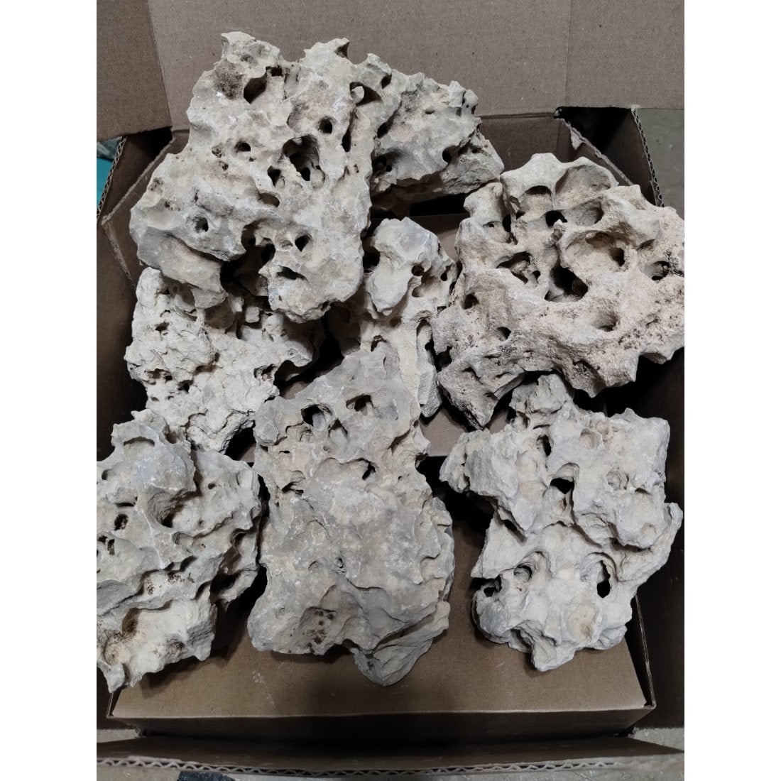 An example of 40 pounds of Texas Holey Rock Aquarium Decorations