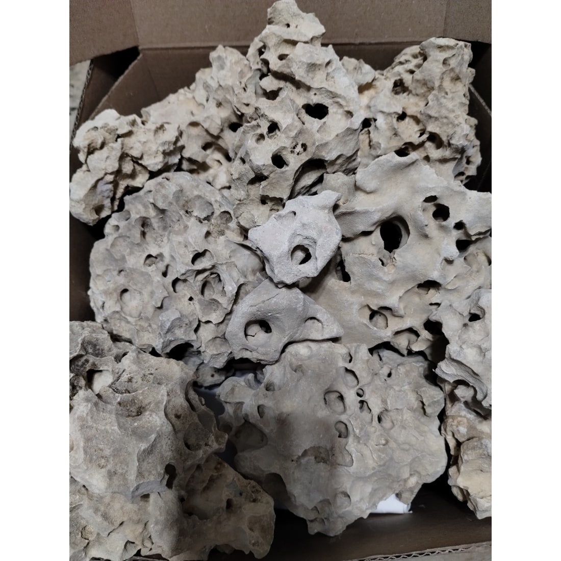 An example of 60 pounds of Texas Holey Rock Aquarium Decorations