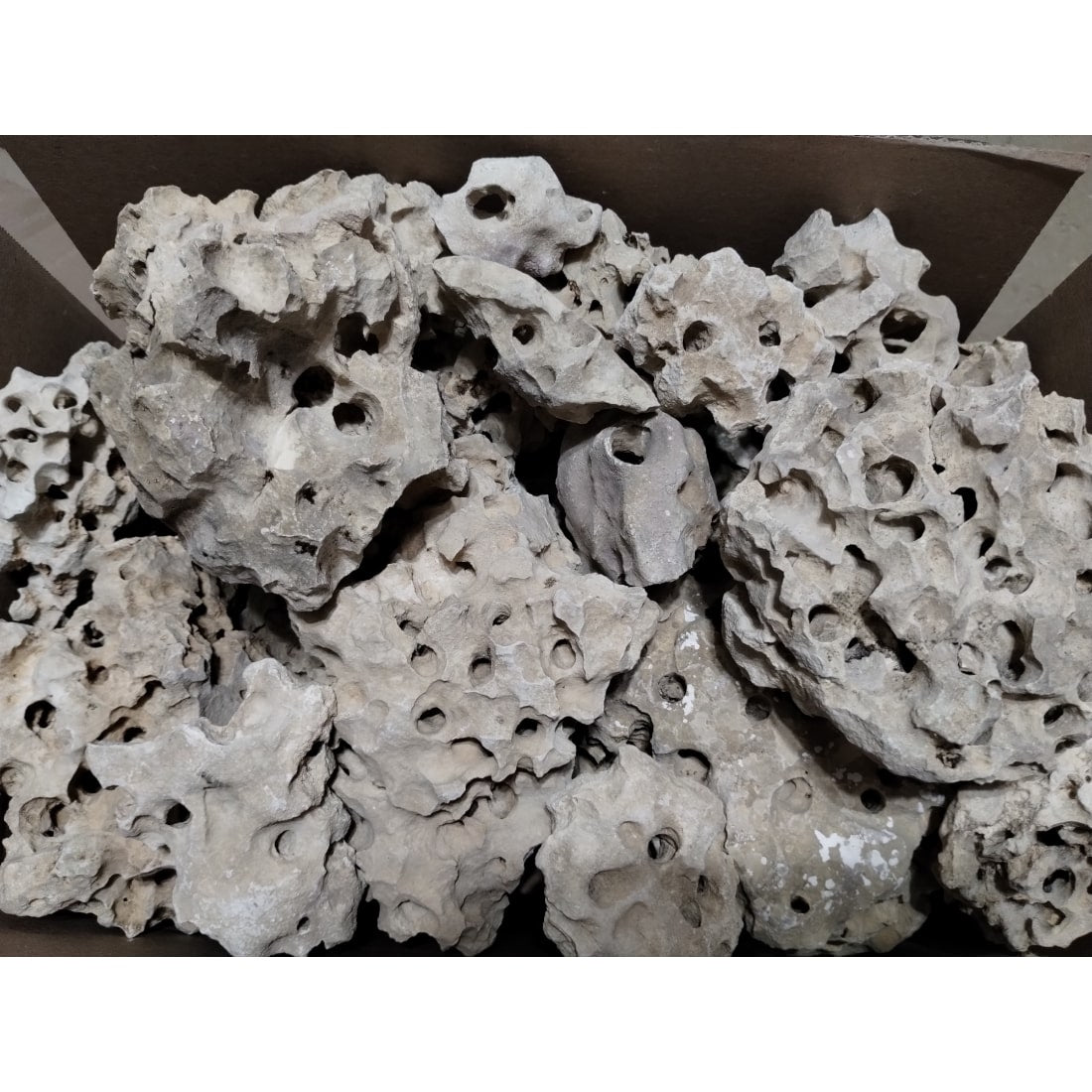 An example of 80 pounds of Texas Holey Rock Aquarium Decorations