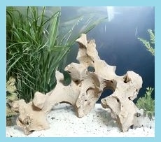 A centerpiece Texas Holey Rock for fish tanks