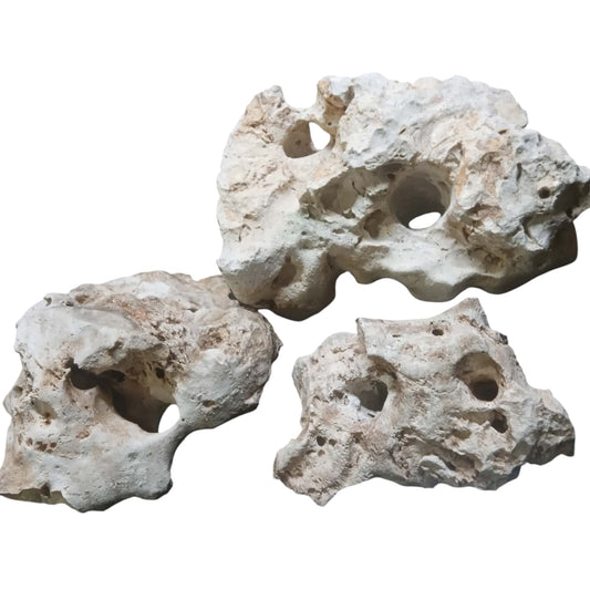 A group of Cichlid Limestone Rocks