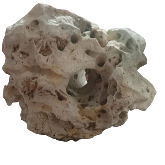 A tunnelRock, Texas Holey Rock, on display