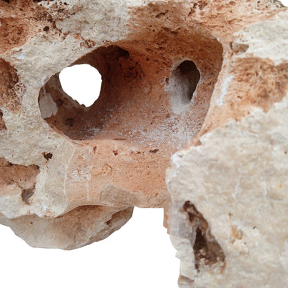 The underneath view of an Aquarium Texas Holey Rock