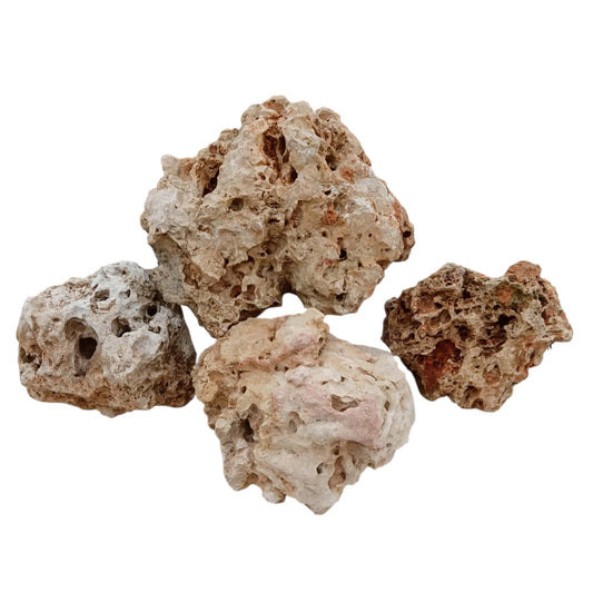 A group of exas Holey Rocks, 45 lbs., on display