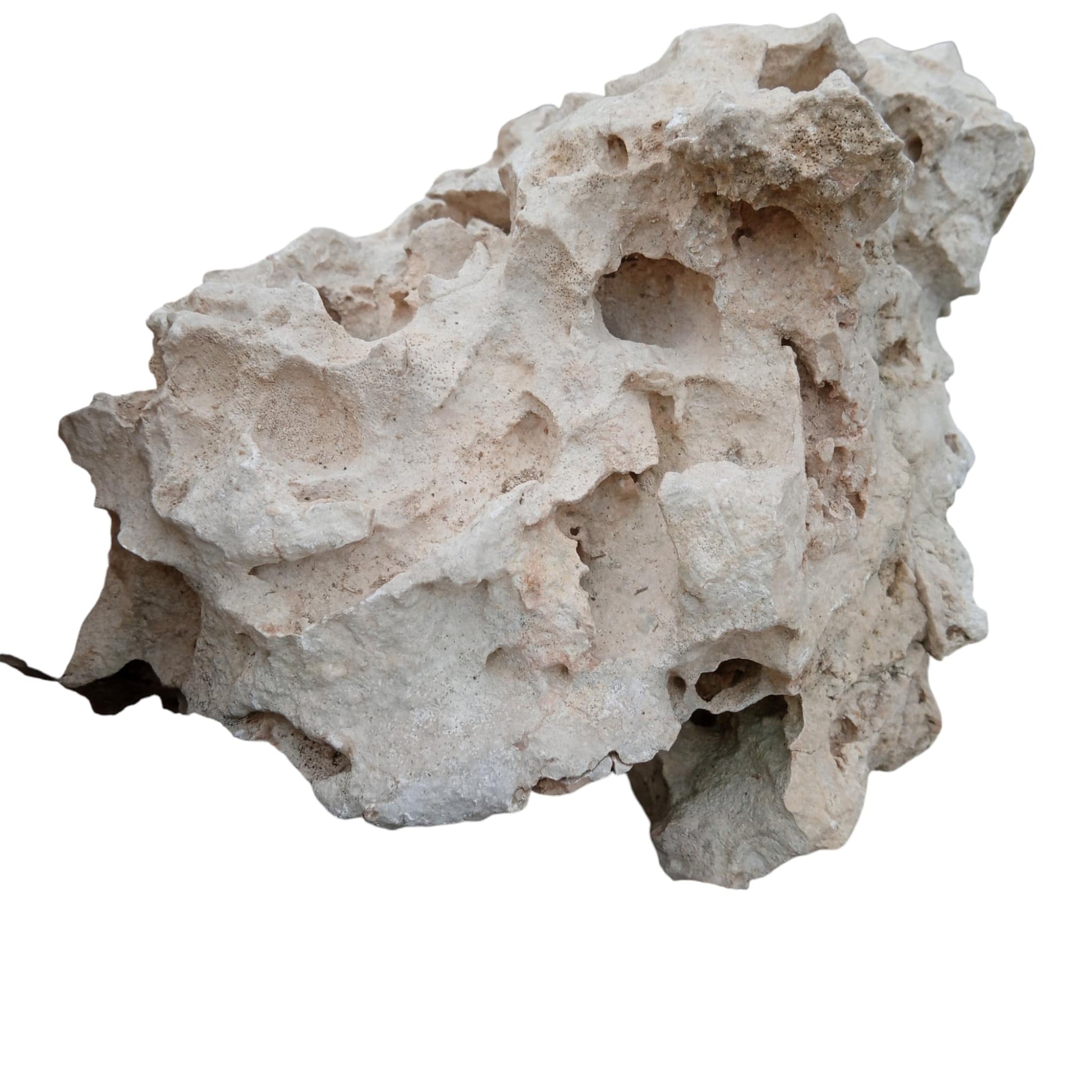 One of the accent rocks for a large Aquarium Rock bundle