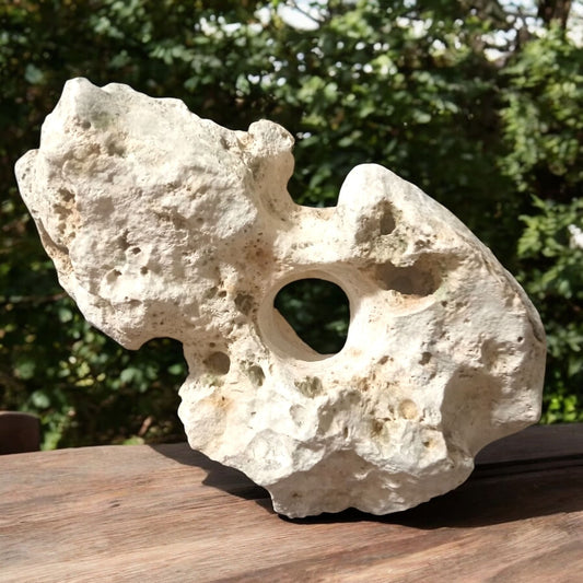 A large Aquarium Rock that leans a bit on display